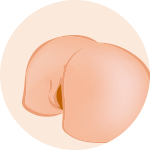 Realistic Butts