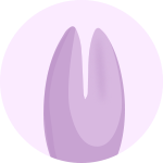 Clitoral Vibrators